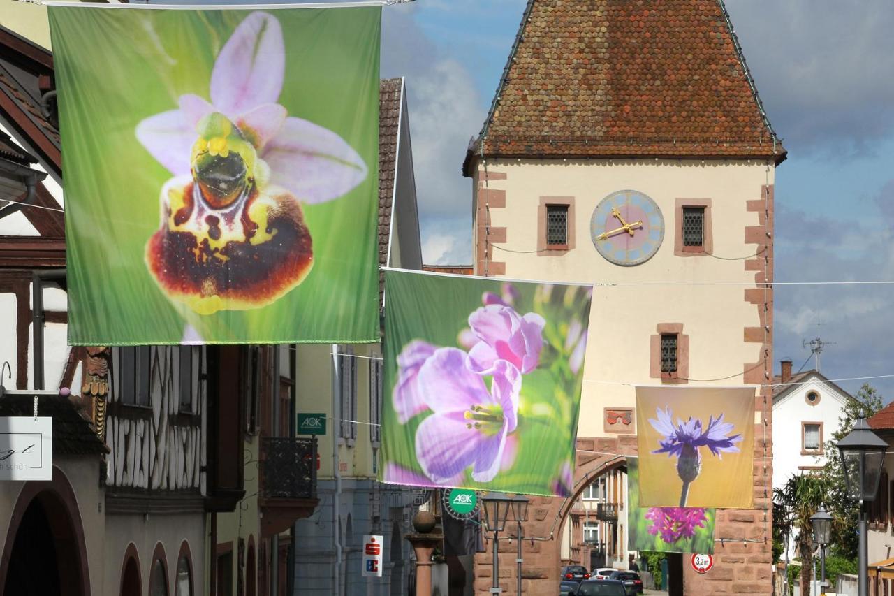 Tiptop Hotel Garni Pfauen Endingen am Kaiserstuhl Exteriör bild