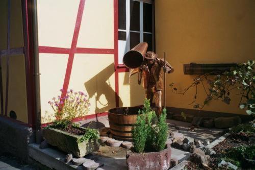 Tiptop Hotel Garni Pfauen Endingen am Kaiserstuhl Exteriör bild