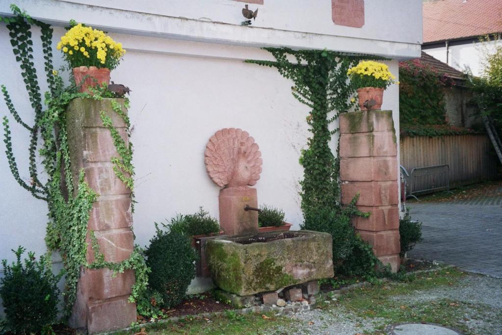 Tiptop Hotel Garni Pfauen Endingen am Kaiserstuhl Exteriör bild