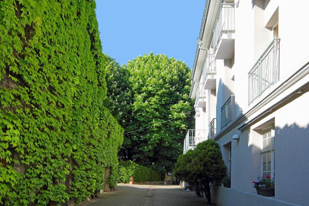 Tiptop Hotel Garni Pfauen Endingen am Kaiserstuhl Exteriör bild