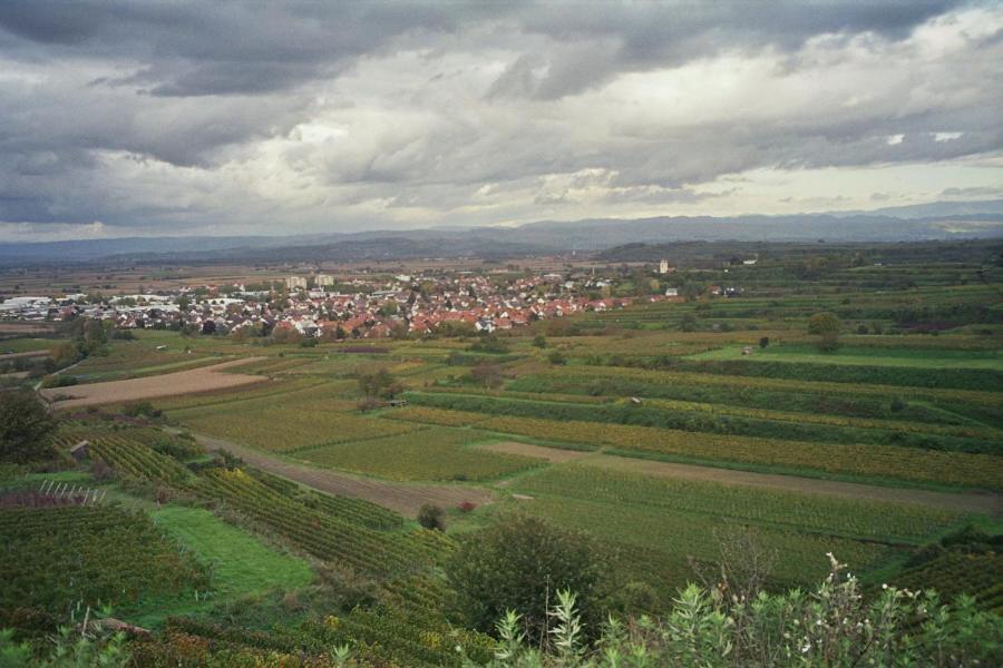 Tiptop Hotel Garni Pfauen Endingen am Kaiserstuhl Exteriör bild